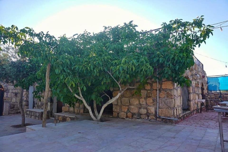 Heritige Inn Jordan Al-Qasr Exteriör bild